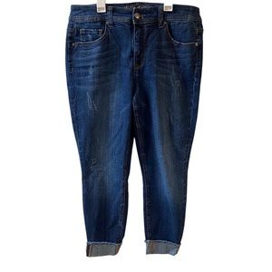 Melissa McCarthy Seven7 Pencil Jeans